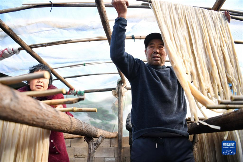 Hebei : la fabrication des nouilles contribue à augmenter les revenus à Qian'an