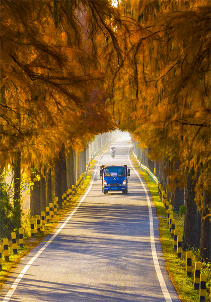 Anhui : magnifiques paysages de routes rurales