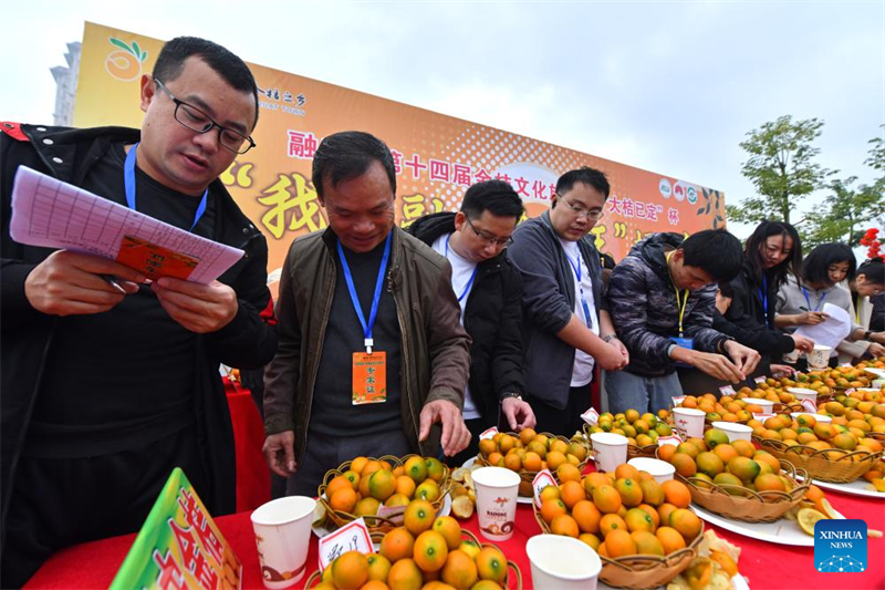 Guangxi : un concours de kumquats à Rong'an