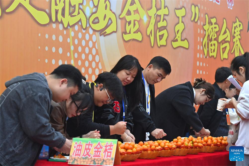 Guangxi : un concours de kumquats à Rong'an