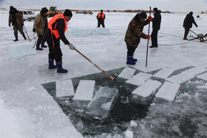 La récolte de la glace bat son plein au Xinjiang