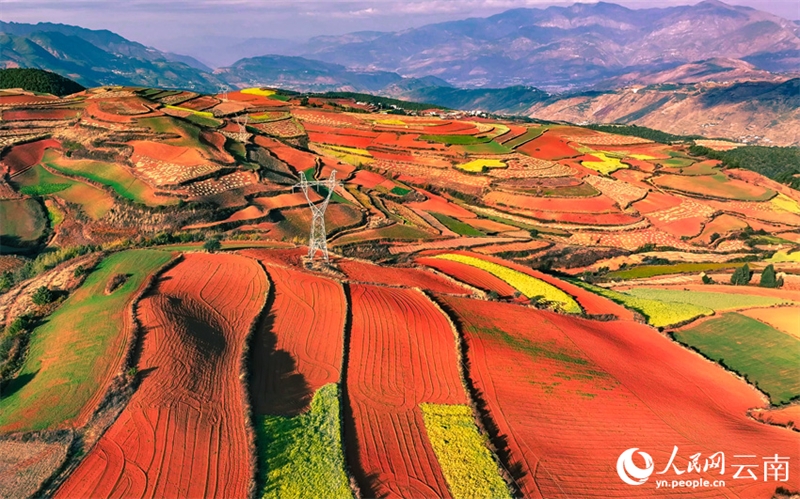 Les champs en terrasse colorés de Kunming ressemblent à une palette
