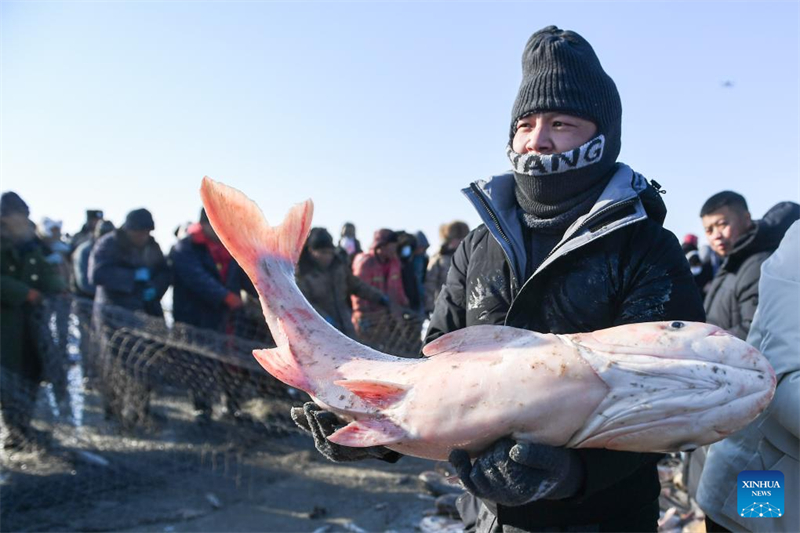 Un touriste tient un poisson lors d'un festival hivernal sur le thème de la pêche sur le lac Chagan, à Songyuan, dans la province du Jilin (nord-est de la Chine), le 28 décembre 2023. (Zhang Nan / Xinhua)