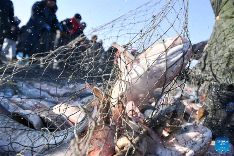 Jilin : début d'un festival sur le thème de la pêche hivernale sur le lac Chagan