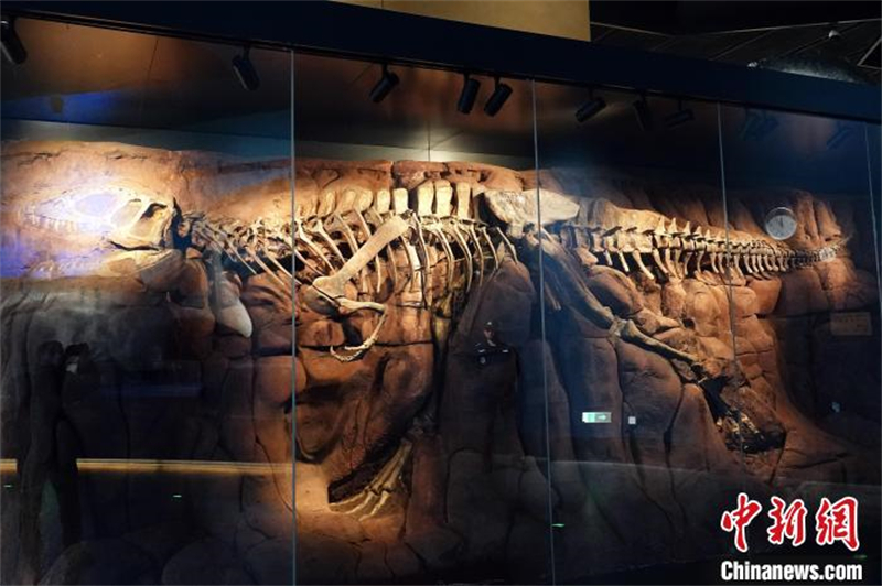 Ouverture du plus grand musée des sciences naturelles de Chine