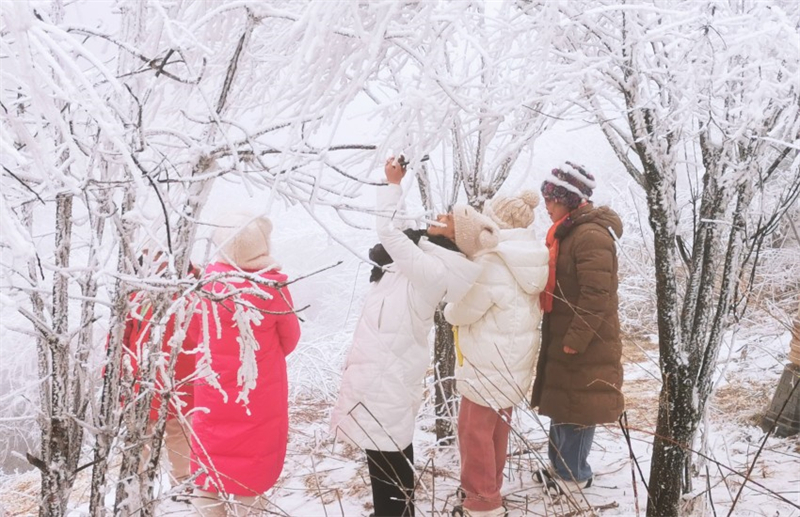 Mise en service du premier train touristique du Shaanxi « voyage de glace et de neige aux cheveux d'argent »