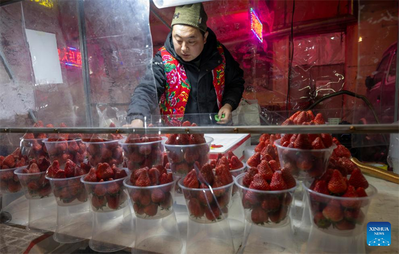 Heilongjiang : les marchés matinaux de Harbin séduisent les touristes