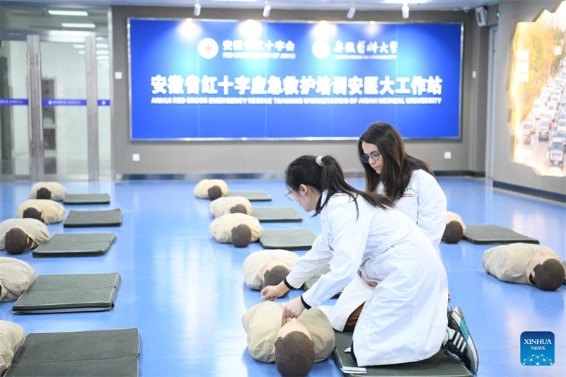 Histoire d'une étudiante française passionnée par la Chine