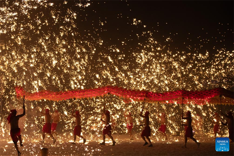 Harbin accueille un spectacle de danse du dragon de feu