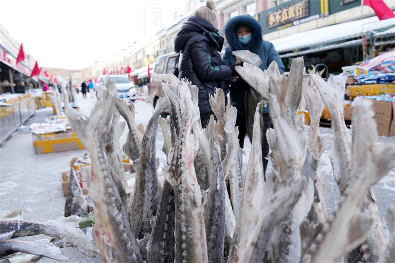 Heilongjiang : à l'approche de la Fête du Printemps, le marché aux poissons de Dongji redouble d'activité