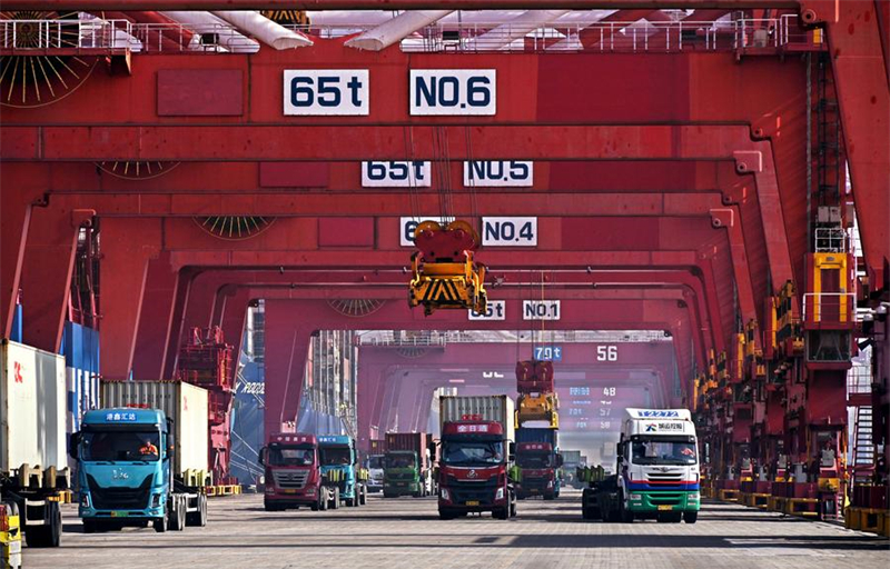 Des camions transportent des conteneurs au port de Qingdao, dans la province chinoise du Shandong (est), le 11 février 2024. (Photo : Li Ziheng)