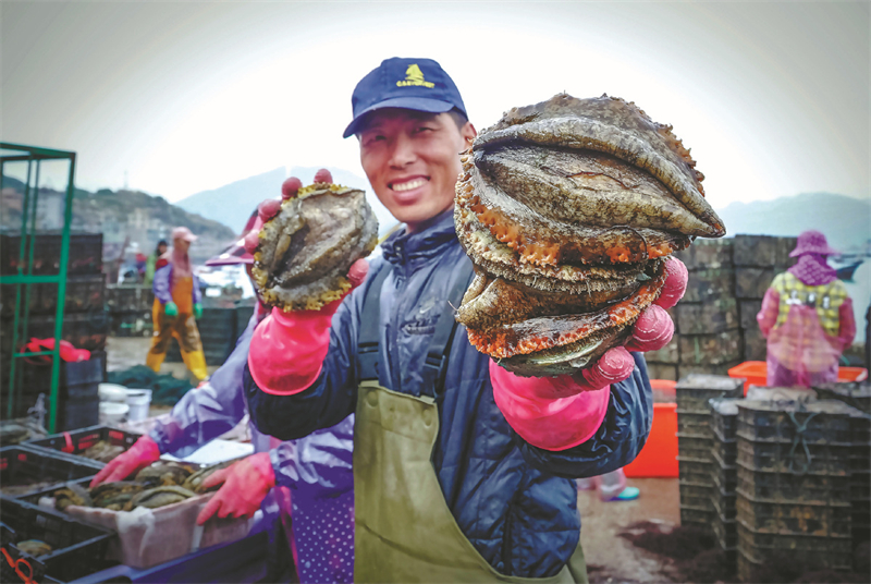 Un pêcheur montre des ormeaux dans le comté de Lianjiang. (Zheng Chengle / China Daily)
