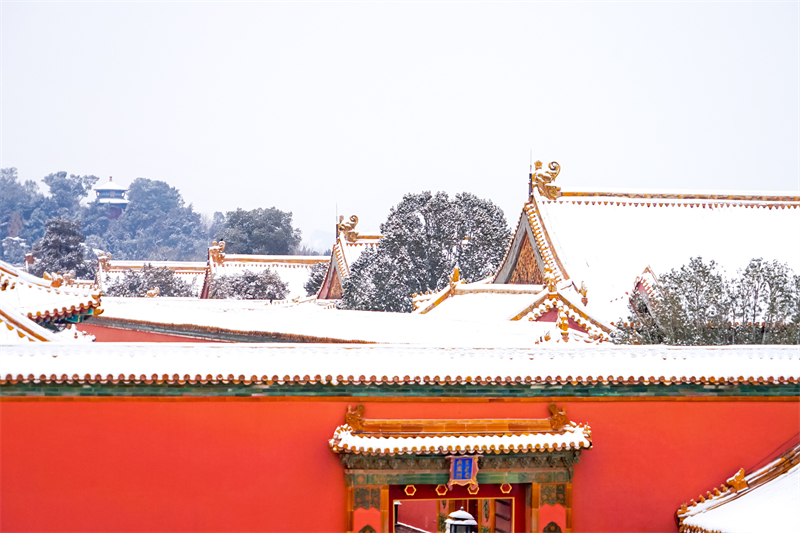 Beijing : quand la Cité Interdite rencontre les premières neiges de l'Année du Dragon