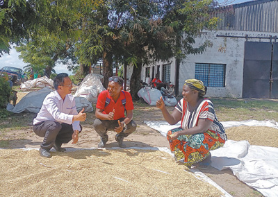 Yang Huade, un expert agricole chinois au Burundi, célèbre la récolte du riz avec les villageois dans un village de démonstration dédié à la lutte contre la pauvreté par la culture du riz à Bujumbura, la plus grande ville du pays africain. (Photo / Wu Peiyang)