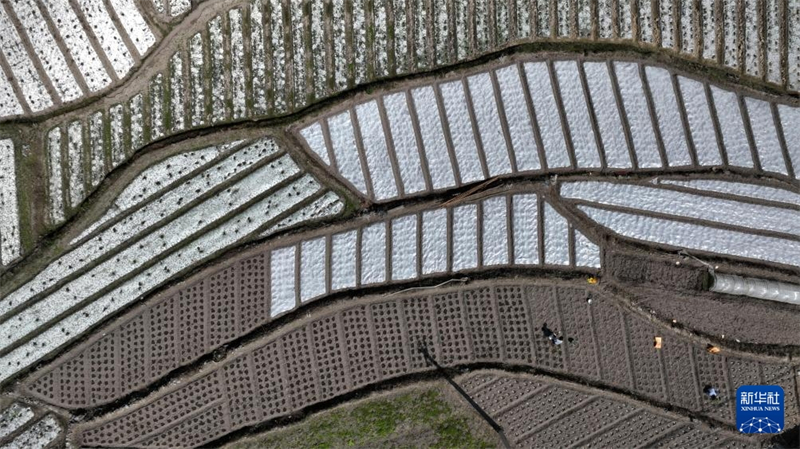 Les agriculteurs s'activent en ce début de printemps