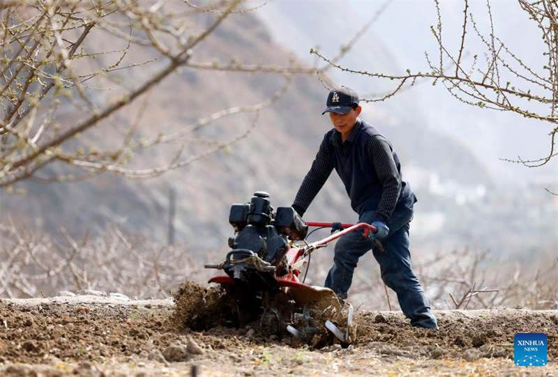 Les agriculteurs s'activent dans toute la Chine