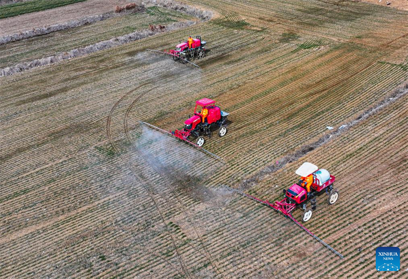 Les agriculteurs s'activent dans toute la Chine