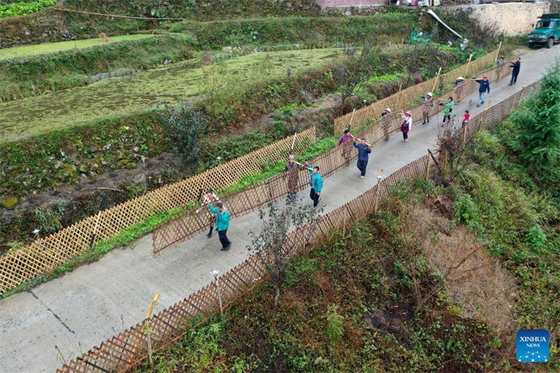 Guangxi : le cadre de vie du village de Wuying continue de s'améliorer grâce au programme de plantation d'arbres