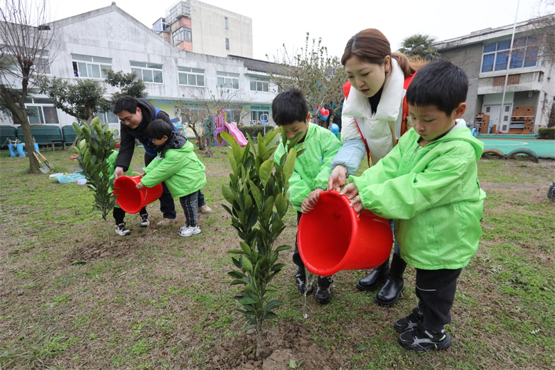 La Chine a planté près de 4 millions d'hectares de forêts en 2023