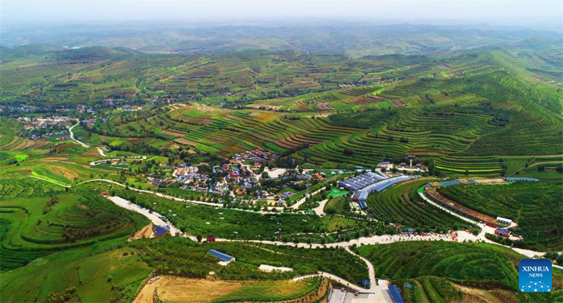 Ningxia : un village autrefois pauvre partage l'histoire de son virage vert avec le monde