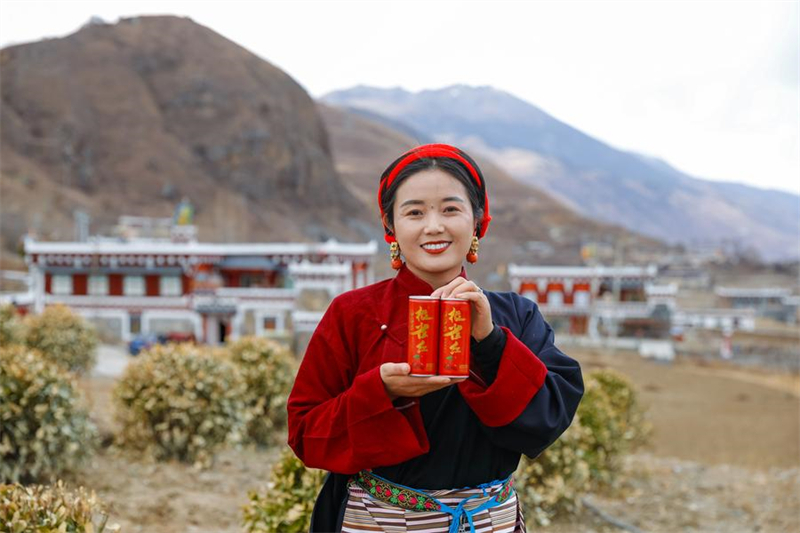 Une femme présente des boissons à base de Malus transitoria dans le comté de Daofu de la province du Sichuan (sud-ouest de la Chine), le 10 mars 2024. (Shen Bohan / Xinhua)