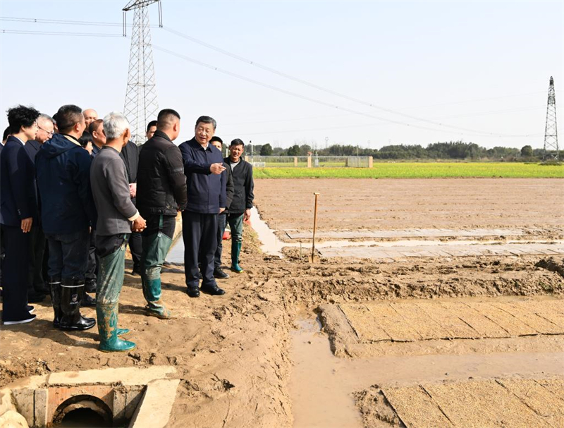 Xi Jinping inspecte les travaux agricoles de printemps