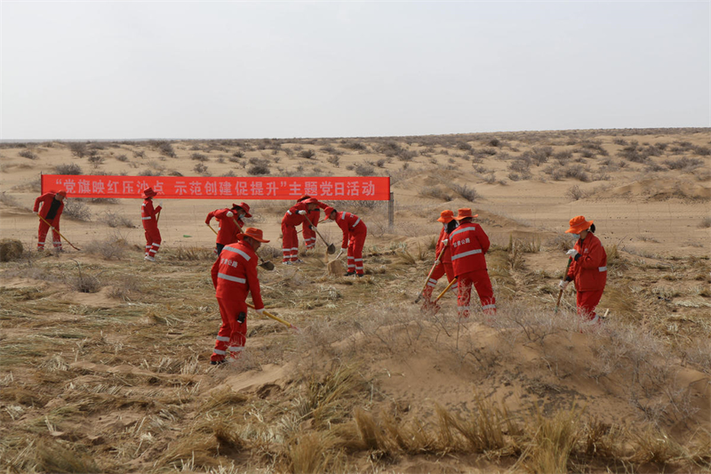 Gansu : la ville de Minqin encadre le sable et cultive de l'herbe pour protéger les routes