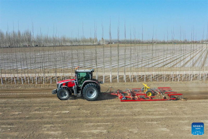 Le Xinjiang lance les semis de coton du printemps