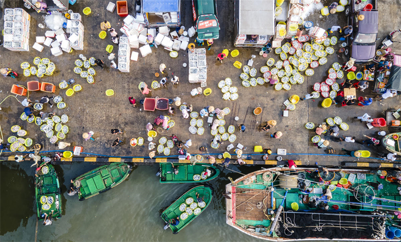 Hainan : un magnifique paysage printanier et des entrepôts pleins de poissons à Qionghai