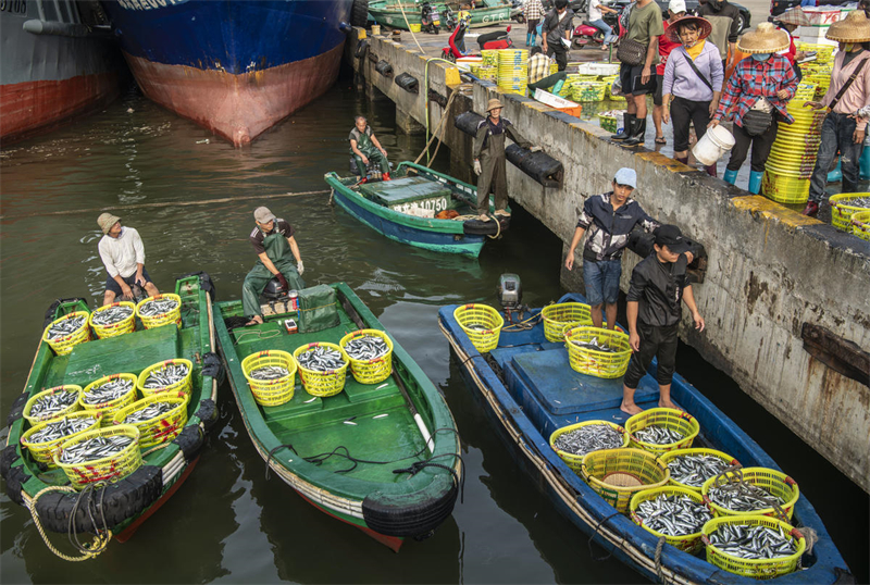 Hainan : un magnifique paysage printanier et des entrepôts pleins de poissons à Qionghai