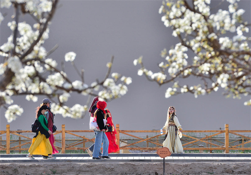 Gansu : le printemps s'épanouit à Dunhuang