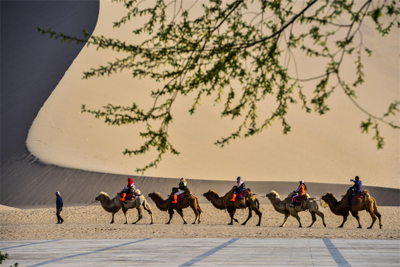 Gansu : le printemps s'épanouit à Dunhuang