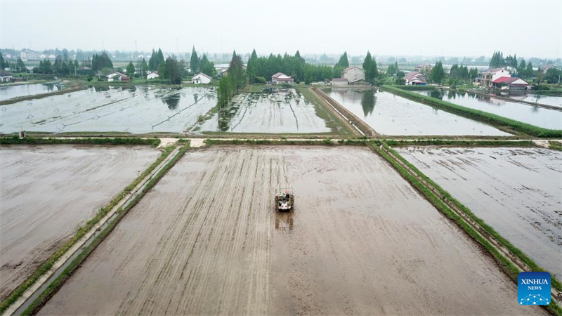 Hunan : une plateforme agricole intelligente améliore l'efficacité de la production