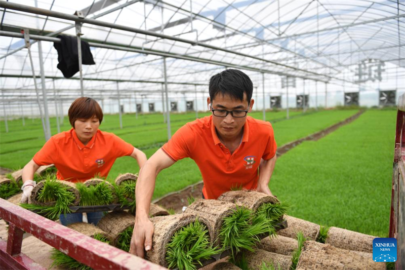 Hunan : une plateforme agricole intelligente améliore l'efficacité de la production