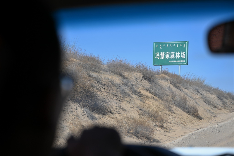 Mongolie intérieure : les revenus augmentent grâce à la lutte contre la désertification