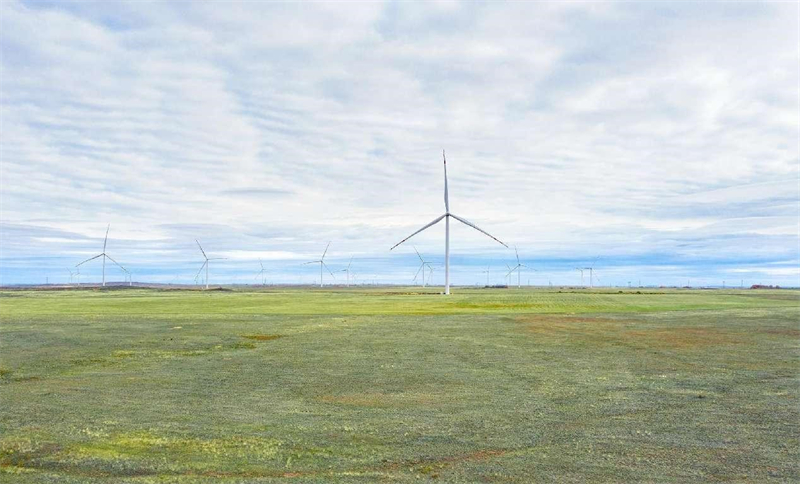Photo montrant un parc éolien construit par une entreprise chinoise dans la région d'Akmola, au Kazakhstan. Le parc éolien est un projet clé sur la liste de la coopération en matière de capacité entre la Chine et le Kazakhstan. (Li Qiang / Le Quotidien du Peuple)
