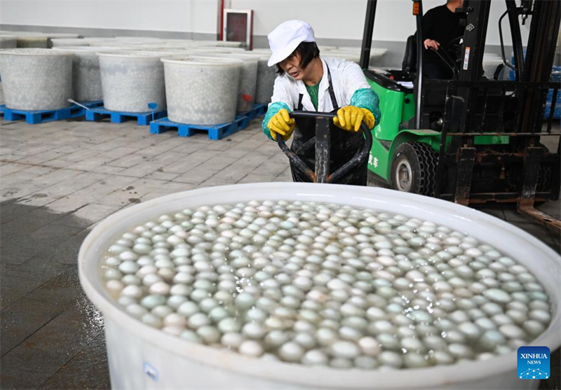 Jiangsu : l'industrie des œufs de cane stimule l'économie locale à Gaoyou
