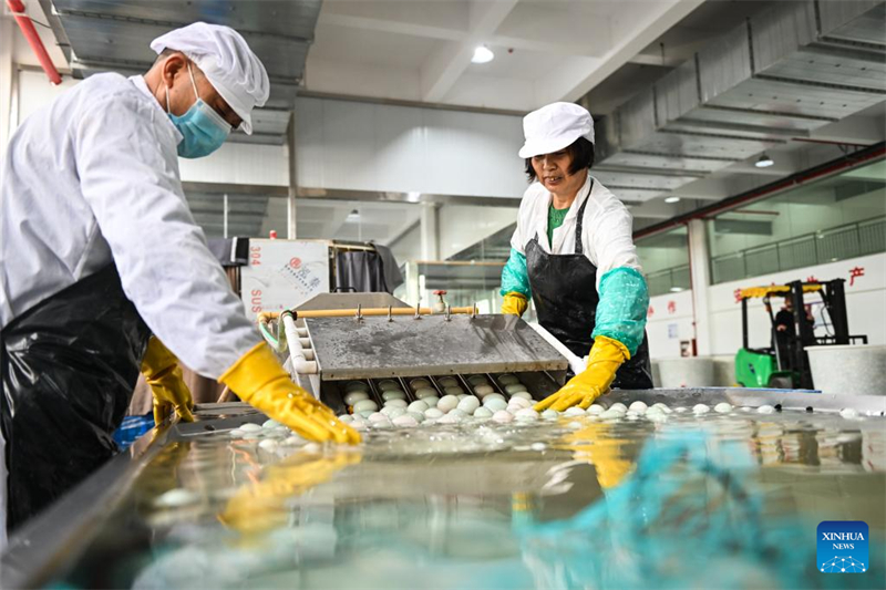 Jiangsu : l'industrie des œufs de cane stimule l'économie locale à Gaoyou