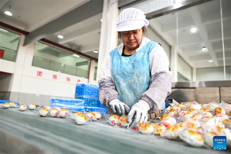 Jiangsu : l'industrie des œufs de cane stimule l'économie locale à Gaoyou