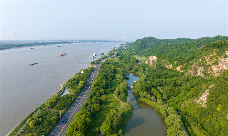 Jiangsu : le littoral du fleuve Yangtsé à Nanjing, à la fois écologique et pittoresque