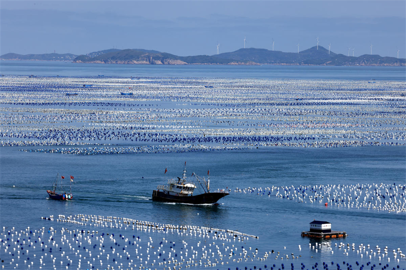 Zhejiang : l'élevage et la pêche battent leur plein à la ferme marine de Zhoushan