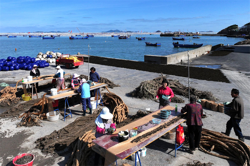 Zhejiang : l'élevage et la pêche battent leur plein à la ferme marine de Zhoushan