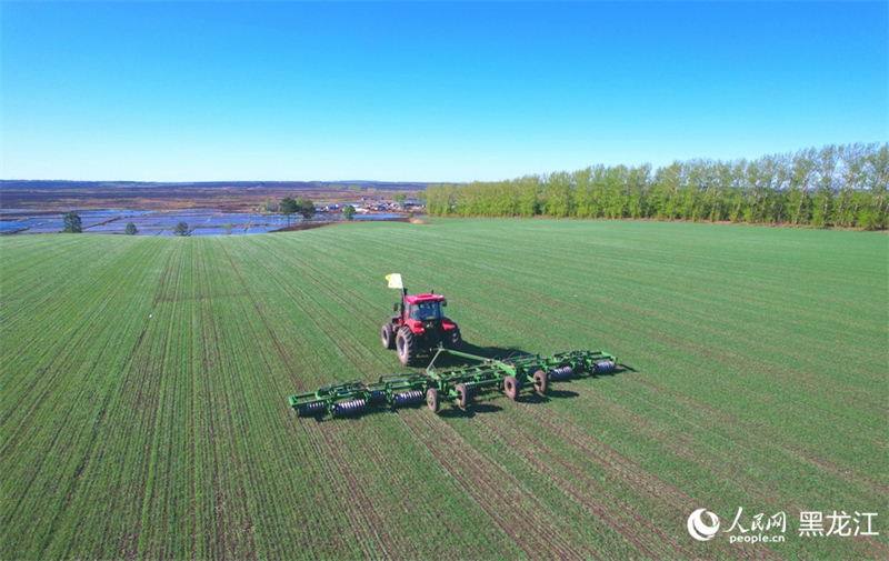 Heilongjiang : une image de travaux agricoles printaniers, « peinture intelligente » dotée de moyens numériques