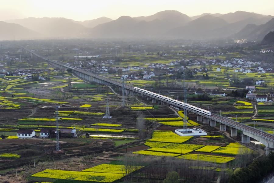 Photo aérienne d'un train de passagers sur le chemin de fer à grande vitesse Xi'an-Chengdu, dans le bourg de Yangchun de l'arrondissement de Nanzheng, à Hanzhong, dans la province chinoise du Shaanxi (nord-ouest), le 20 mars 2024. (Photo : Shao Rui)