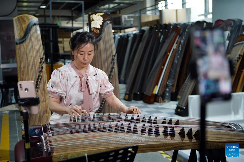 Henan : le comté de Lankao s'appuie sur le paulownia pour développer l'industrie des instruments de musique traditionnels