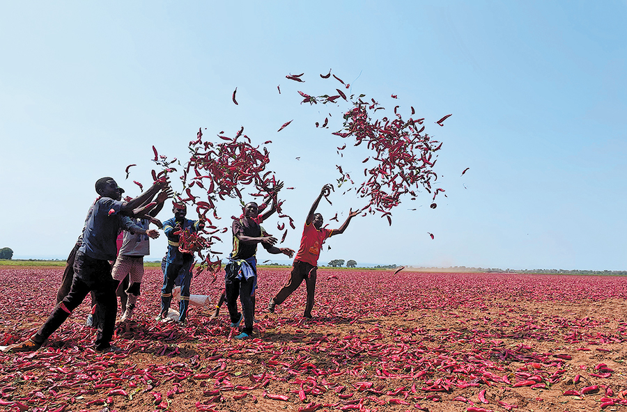 (Photo / China Daily)