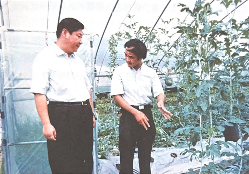 En juin 2002, Xi Jinping a inspecté la base de légumes en serre du parc de démonstration agricole du village de Wuli, dans la commune de Wan'an du comté de Wuping, à Longyan, dans la province du Fujian (sud-est de la Chine). (Source : « Xi Jinping au Fujian »)
