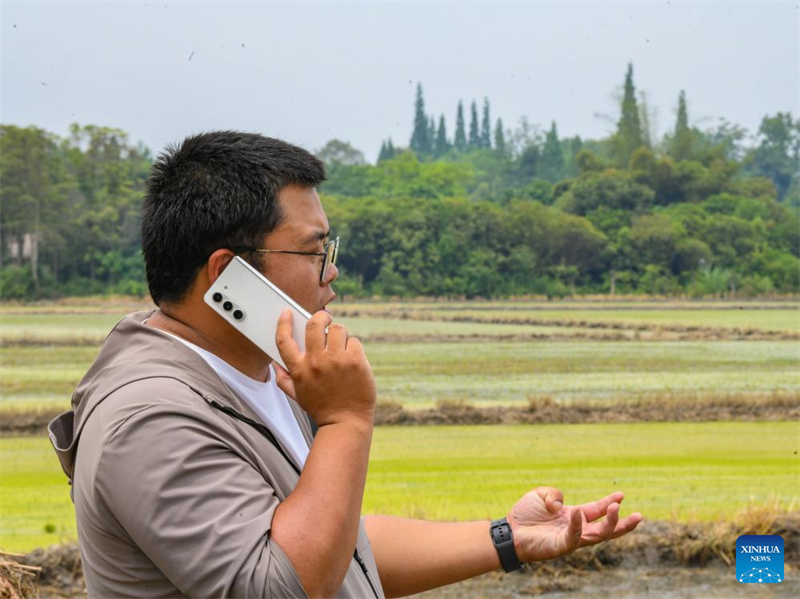 Sichuan : un jeune agriculteur utilise la technologie moderne pour renforcer l'agriculture traditionnelle