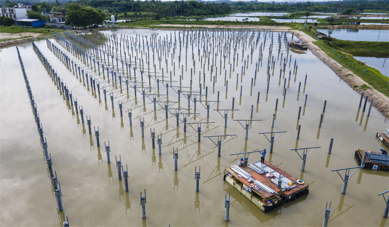  Hainan : la construction du projet complémentaire de pêche et d'énergie photovoltaïque de Tayang à Qionghai bat son plein