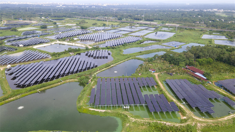 Hainan : la construction du projet complémentaire de pêche et d'énergie photovoltaïque de Tayang à Qionghai bat son plein